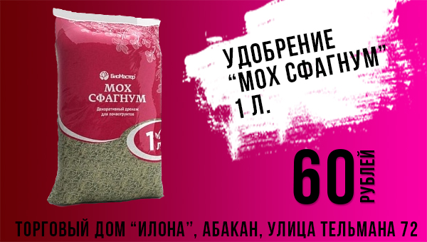 ud6.jpg