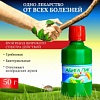 СРЕДСТВО ОТ БОЛЕЗНЕЙ 50ГР АБИГА-ПИК ФУНГИЦИД